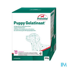 Afbeelding in Gallery-weergave laden, Primeval Puppy Artrose Gelatinaat 350g

