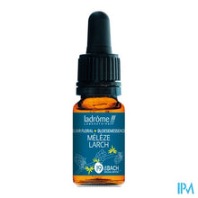 Charger l'image dans la galerie, Ladrome Lariks/larch 10ml
